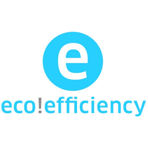 eco efficiency